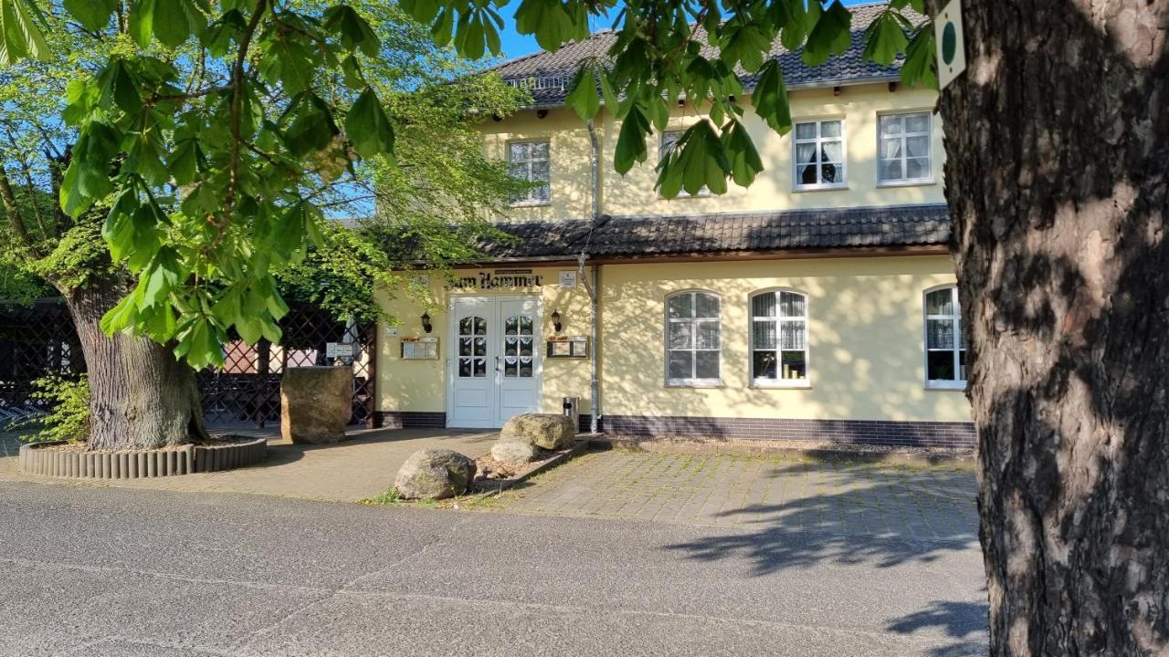 Wirtshaus & Pension "Zum Hammer" Neustadt  Extérieur photo